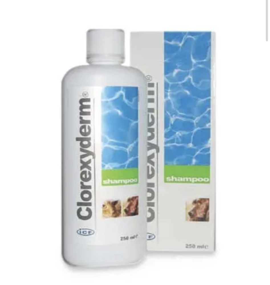 ICF CLOREXYDERM ŠAMPON 4% 250ml 316g