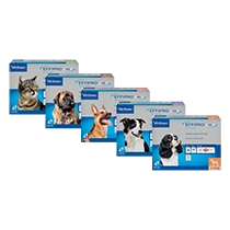 EFFIPRO DUO ZA PSE 10-20kg 1kom