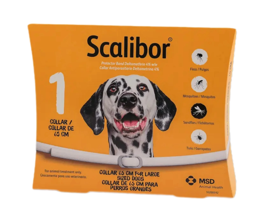 SCALIBOR ORGLICA 65cm