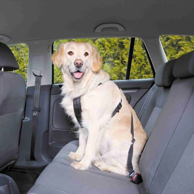 TRIXIE AM ZA AUTOMOBIL XL 80-110cm